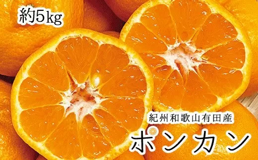 紀州和歌山有田産ポンカン　5kg ※2026年2月上旬頃〜2026年2月下旬頃に順次発送（お届け日指定不可）