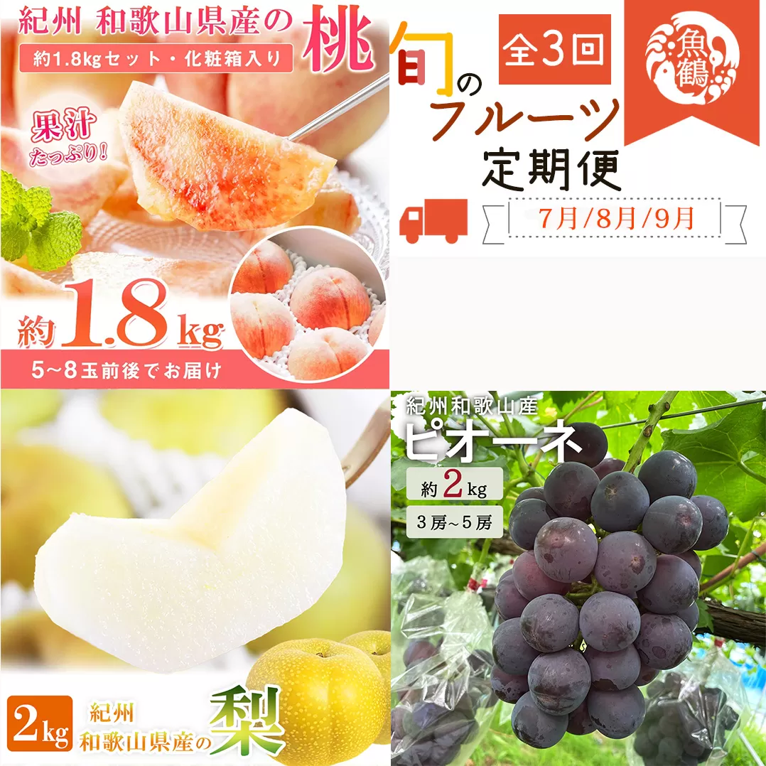【全3回】紀州和歌山産旬のフルーツ定期便 (桃・梨・ピオーネ) 【tkb424】