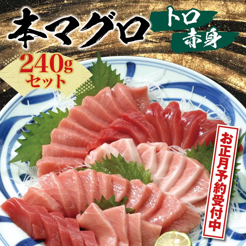 【年末発送！締切間近！】本マグロ（養殖）トロ＆赤身セット 240g　【年末発送（12月26日～30日発送）】