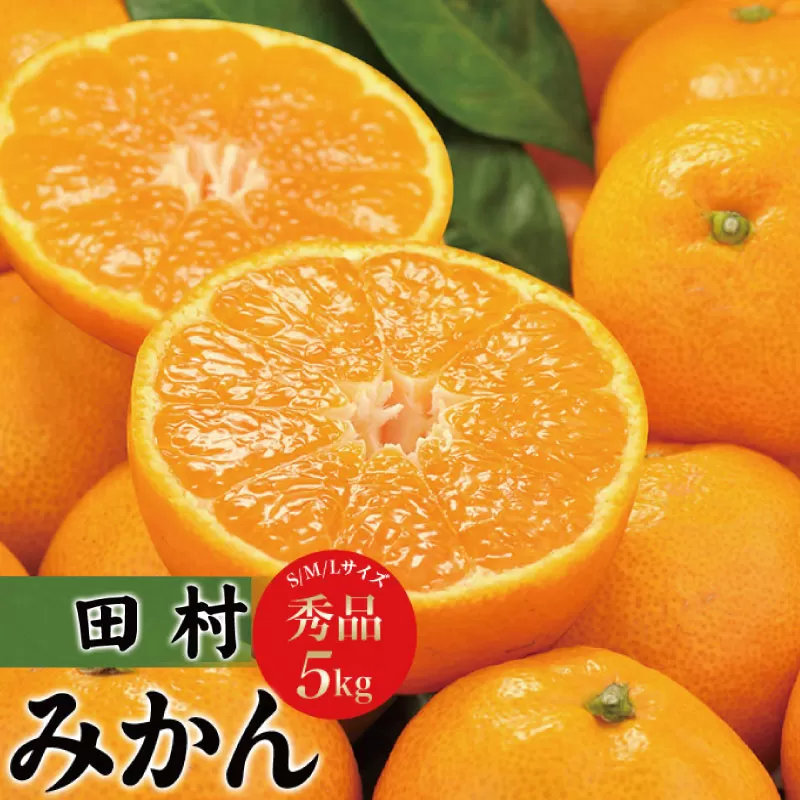 田村みかん 秀品5キロ/サイズおまかせ◆2025年11月下旬〜2026年1月中旬頃に順次発送(お届け日指定不可) 紀伊国屋文左衛門本舗