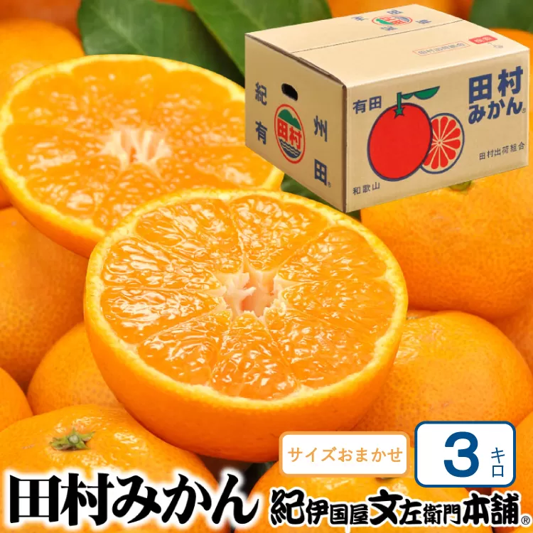 田村みかん 特選ギフト品 3kg サイズおまかせ 赤秀/紀州和歌山有田郡湯浅町田村地区産 ◆2025年11月下旬～2026年1月中旬頃に順次発送(お届け日指定不可)　紀伊国屋文左衛門本舗