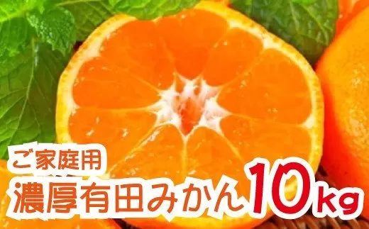 【11月発送】農園直送!完熟有田みかん 約10kg+200g【サイズ混合】 | 予約 和歌山 有田みかん みかん【ard004D-11】