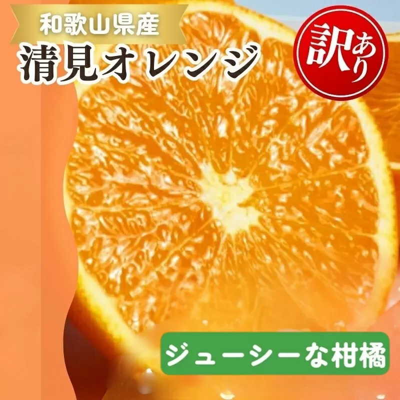 【ご家庭用訳アリ】紀州有田産清見オレンジ　7.5kg ※2027年3月下旬頃〜2027年4月下旬頃に順次発送予定(お届け日指定不可)【uot730】
