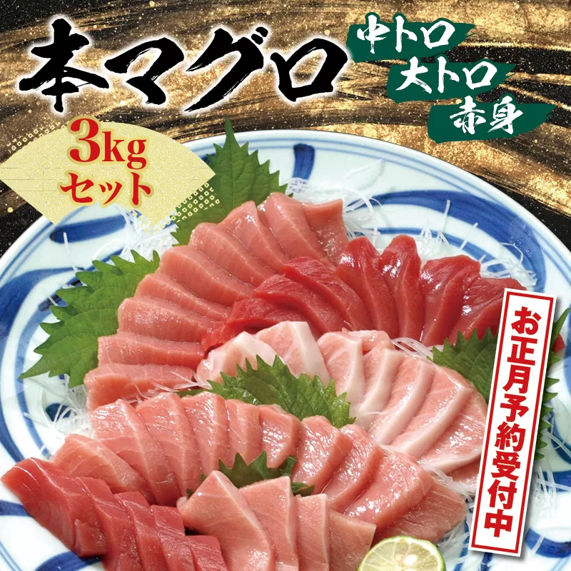 【年末発送！締切間近！】本マグロ（養殖）トロ＆赤身セット 3kg【年末発送（12月26日～30日発送）】