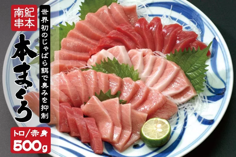【串本町×北山村】本マグロ（養殖）トロ＆赤身セット500ｇ【8月発送分】 【nks110D-8】