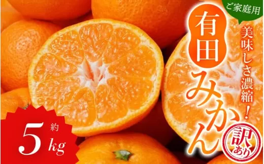 [訳あり]農家直送 有田みかん 約5kg ※11月中旬から1月中旬ごろ順次発送予定 [自](お届け日指定不可)※北海道・沖縄・離島への配送不可 訳ありみかん みかん ミカン 蜜柑 柑橘 フルーツ 果物 くだもの 温州みかんサイズ混合 訳ありみかん 温州みかん 有機質肥料100% ふるさと納税 柑橘 有田 産地直送[nuk161B]