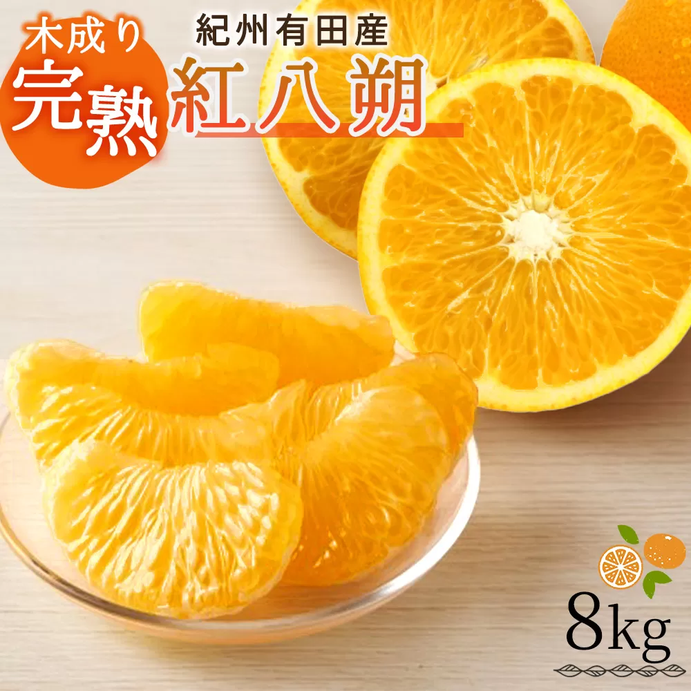 【先行予約】紀州有田産木成り完熟紅八朔８kg ※2026年2月末頃〜2026年3月中旬頃に順次発送予定（お届け日指定不可）/ みかん 和歌山 フルーツ 有田【uot795】 