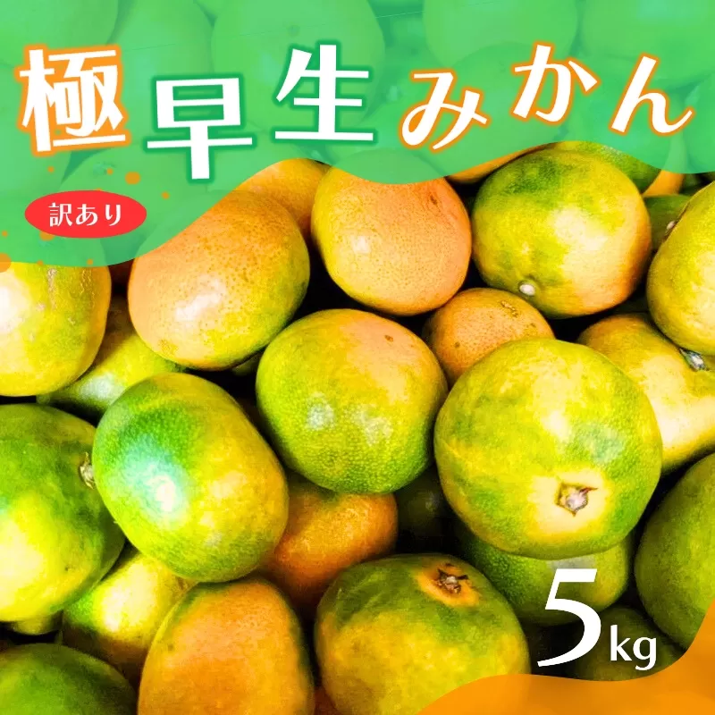 【2025年秋頃発送予約分】【訳あり】こだわりの極早生みかん 約5kg ※2025年10月上旬より順次発送予定（お届け日指定不可） 有機質肥料100% サイズ混合  有田産【nuk165A】 