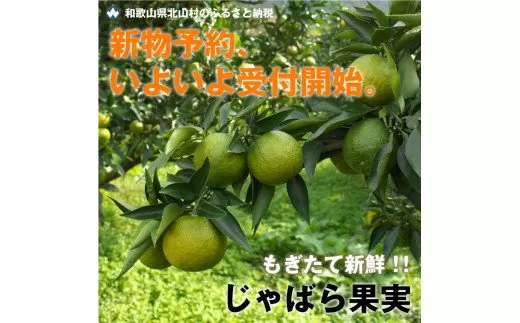【期間限定】じゃばら果実 5キロ＋約400g (傷み保証分)【予約受付/11月下旬より順次発送】
