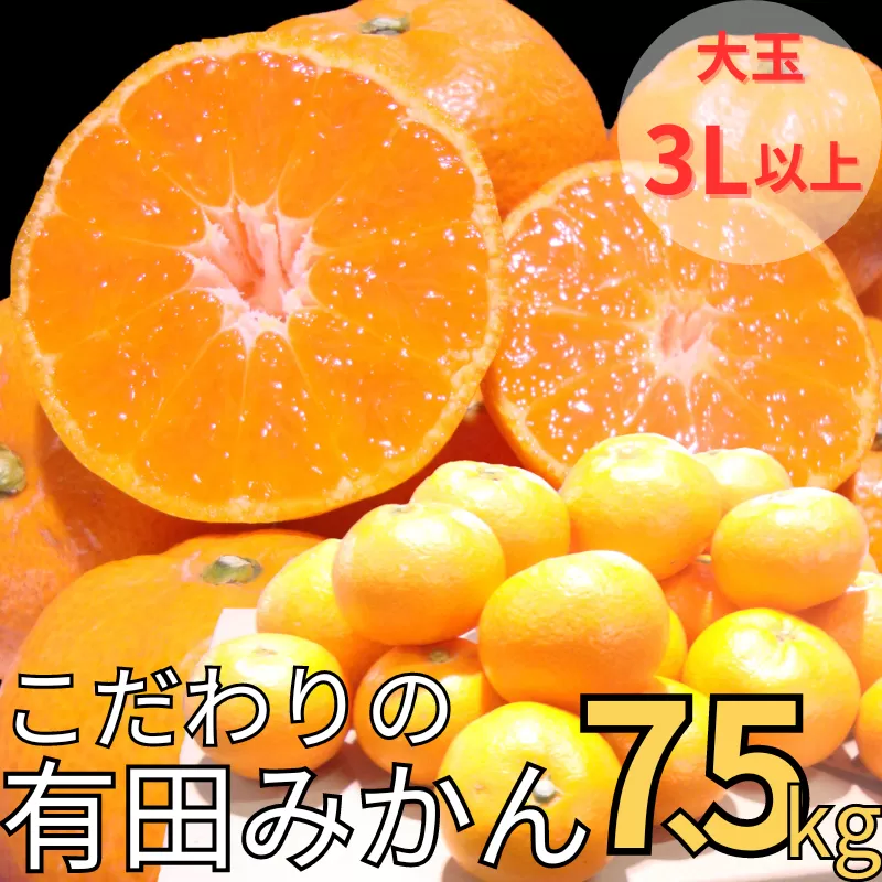 【農家直送】有田みかん 約7.5kg 大玉3L以上 有機質肥料100% ※2025年12月初旬～1月中旬に順次発送(お届け日指定不可)/みかん ミカン 温州みかん 柑橘 有田 和歌山 産地直送【nuk158C】 