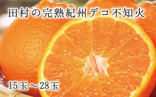 高級ブランド田村の完熟紀州デコ(不知火)　※2026年2月下旬頃〜3月中旬頃に順次発送予定(お届け日指定不可)