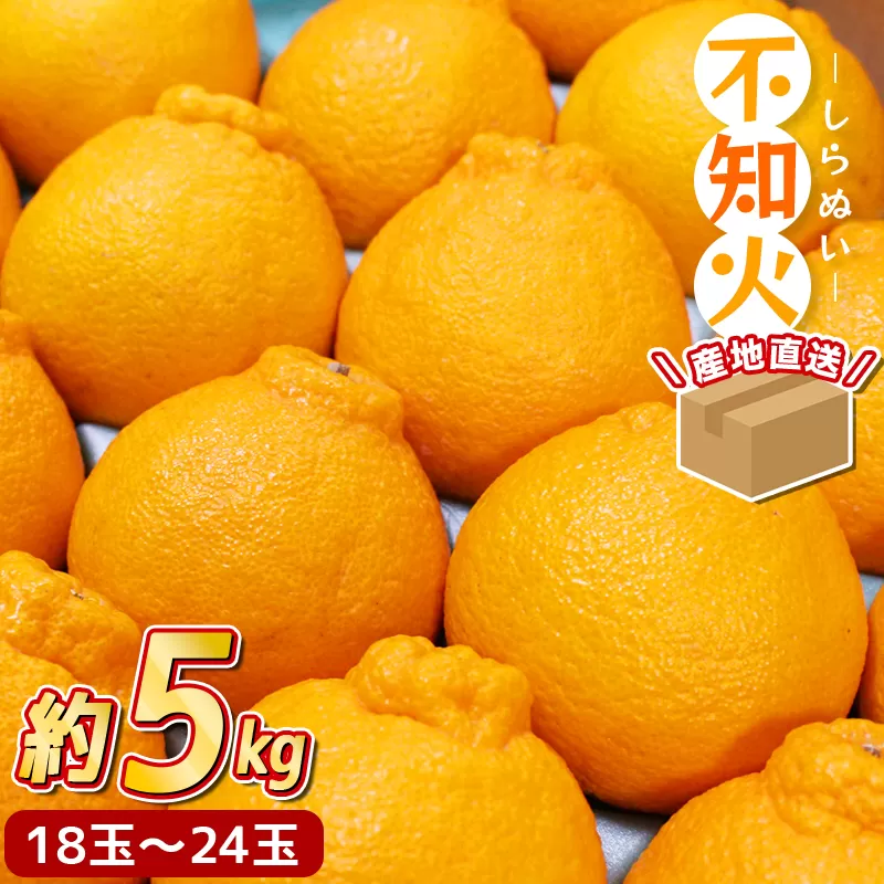 ＼ みかんの名産地 和歌山県産／ 農家直送 不知火 約5kg(18～24玉) ひとつひとつ手選別で厳選【2026年2月中旬～3月下旬ごろに順次発送予定】【hdm002A】