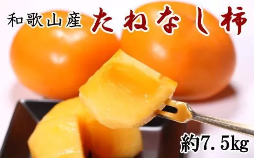 【秋の味覚】和歌山産のたねなし柿約7.5kg(L〜4Lサイズおまかせ)　※2025年10月上旬～2025年11月上旬頃に順次発送