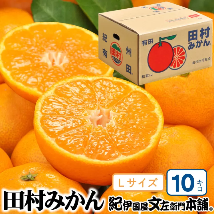 田村みかん 特選ギフト品 10kg【Lサイズ】赤秀/紀州和歌山有田郡湯浅町田村地区産 ◆2025年11月下旬～2026年1月中旬頃に順次発送(お届け日指定不可)　紀伊国屋文左衛門本舗