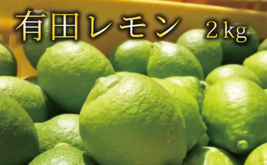 【国産】紀州和歌山　有田レモン 約2kg
