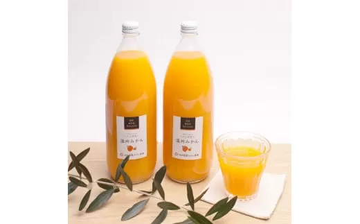 無添加・有田みかん100%ストレートジュース1000ml×2本
