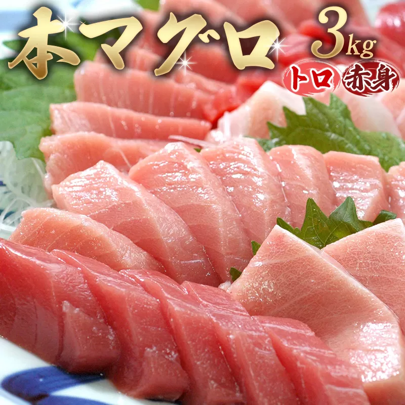 【串本町×北山村】本マグロ（養殖）トロ＆赤身セット 3kg　【通常発送】
