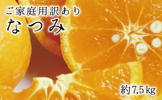 【ご家庭用訳アリ】初夏のみかん なつみ7.5kg　※2026年4月中旬頃〜2026年4月下旬頃に順次発送予定(お届け日指定不可)