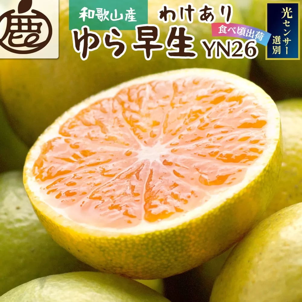 [先行予約]家庭用有田みかん サイズ混合(2S〜2L) 2.5kg+250g ※10月より発送(極早生) ※北海道・沖縄・離島への配送不可 / みかん 果物 フルーツ ミカン 和歌山 柑橘 早生みかん 有田みかん 有田[ikd147B]