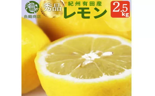 秀品　紀州有田産レモン　2.5kg【予約】※2026年3月上旬頃〜2026年3月中旬頃に順次発送予定(お届け日指定不可) レモン れもん 果物 柑橘