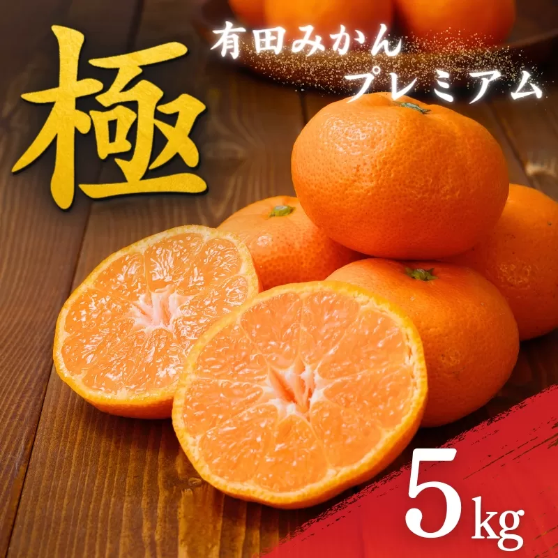 ＼光センサー選別／極 有田みかんプレミアム 5kg【光センサー 高糖度選別品】2S〜Lサイズ 有機質肥料100% ※2025年11月下旬～2026年1月上旬頃に順次発送予定 ※北海道・沖縄・離島への配送不可
