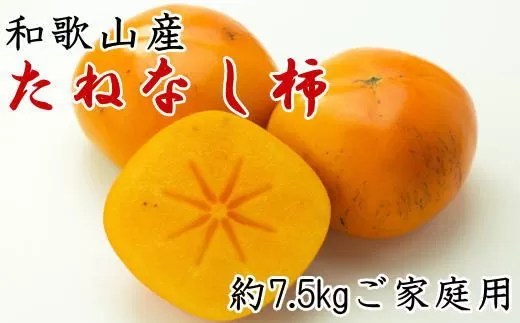 【秋の味覚】和歌山産のたねなし柿ご家庭用約7.5kg　