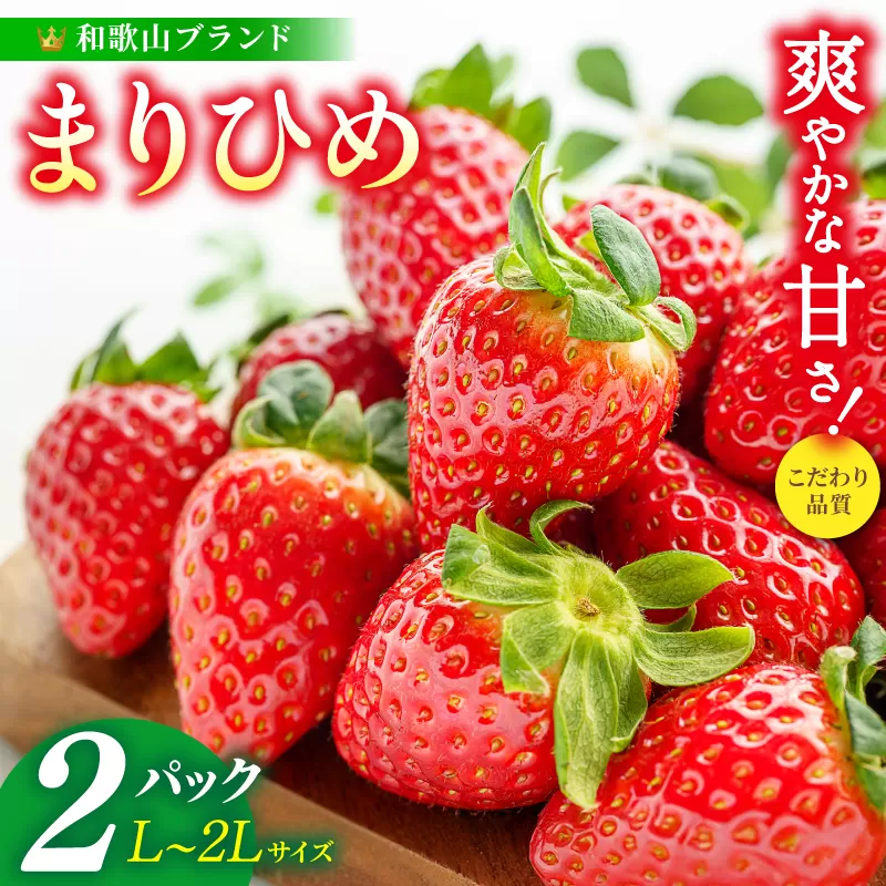 【先行予約】まりひめ いちご 12粒～15粒入り×2パック（500g）2026年1月中旬頃～2026年3月中旬頃に順次発送予定（お届け日指定不可） | いちご 苺 まりひめ 和歌山 フルーツ 果物 くだもの【kgr007A】