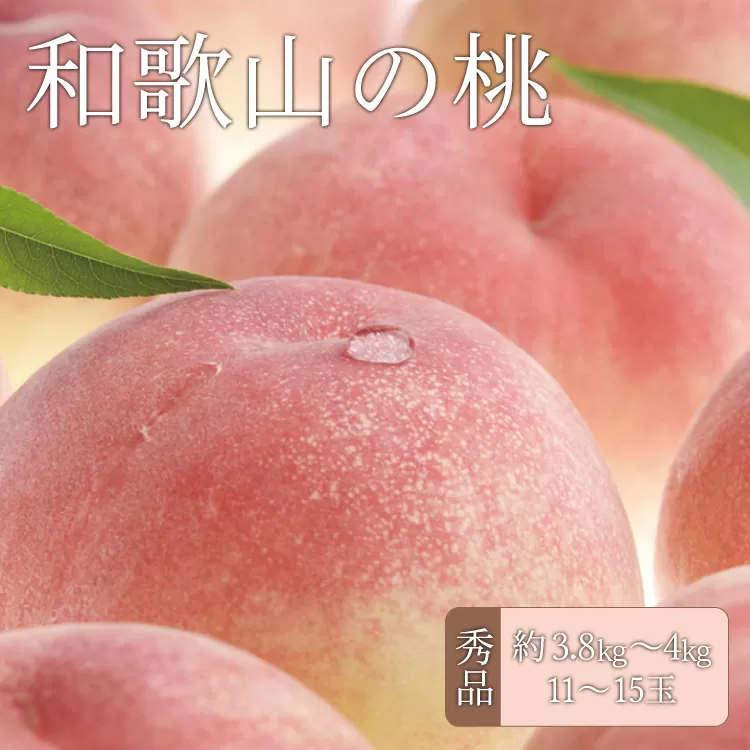 和歌山の桃 秀品 [約3.8〜4kg] (サイズ・品種おまかせ) 紀伊国屋文左衛門本舗 和歌山 もも モモ 桃 果物 フルーツ 人気 産地直送 和歌山県 お取り寄せ 【kstb800A】