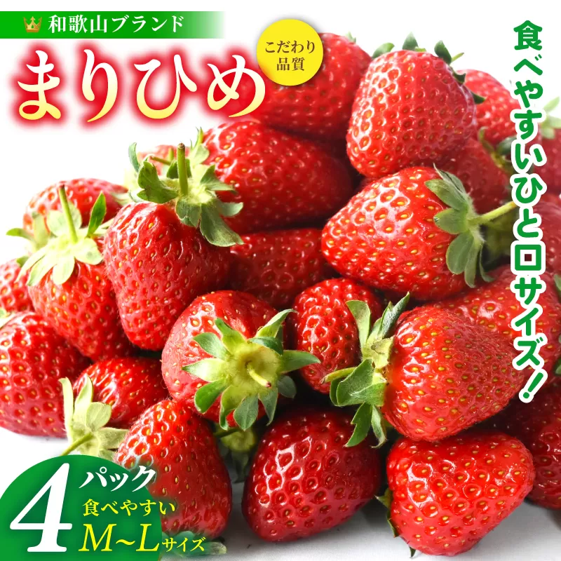 【先行予約】まりひめイチゴ4パック 食べやすいひと口サイズ M～L（15粒～20粒入×4パック）【2026年1月初旬～3月下旬頃に順次発送】（お届け日指定不可）/ いちご 苺 まりひめ 和歌山 フルーツ【kgr034】