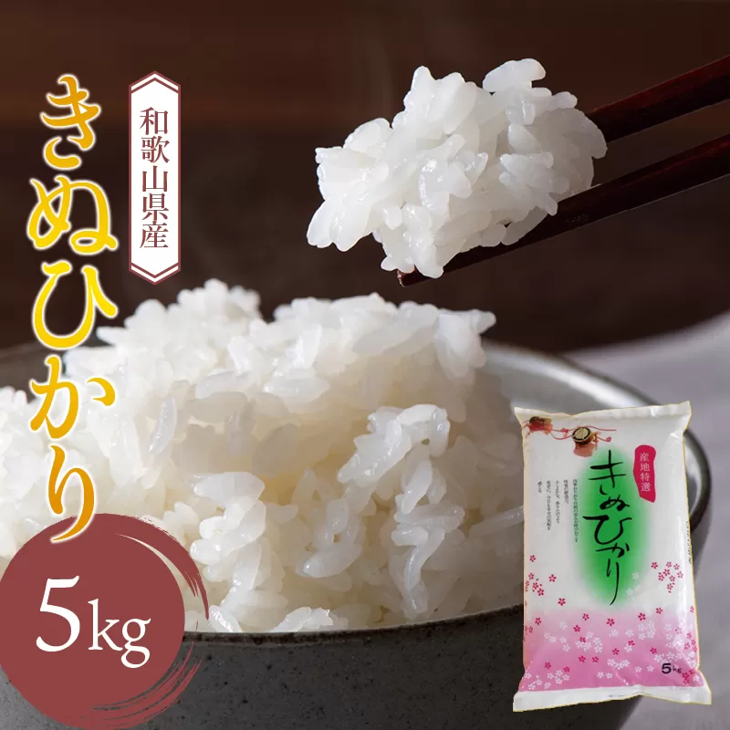 和歌山県産 キヌヒカリ 5kg(2023年産)  産地直送 米 こめ ご飯 ごはん 
