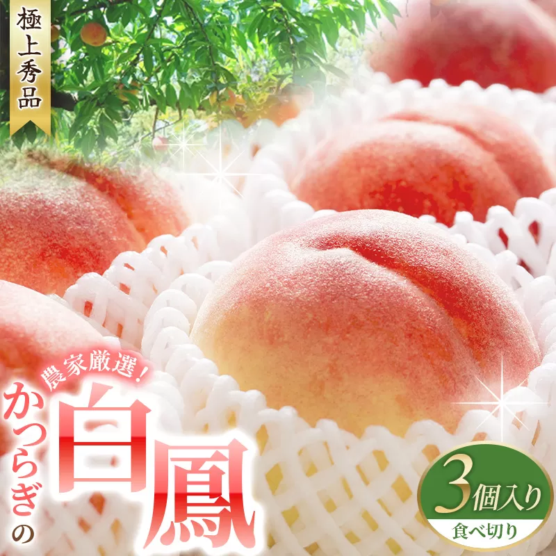 【予約受付】桃の王様 白鳳 <特秀品> うれしい食べきり容量 3玉 2025年6月末頃～2025年7月末頃に順次発送予定（お届け日指定不可）/ 桃 もも 白鳳 フルーツ 果物 くだもの 【kgr010】