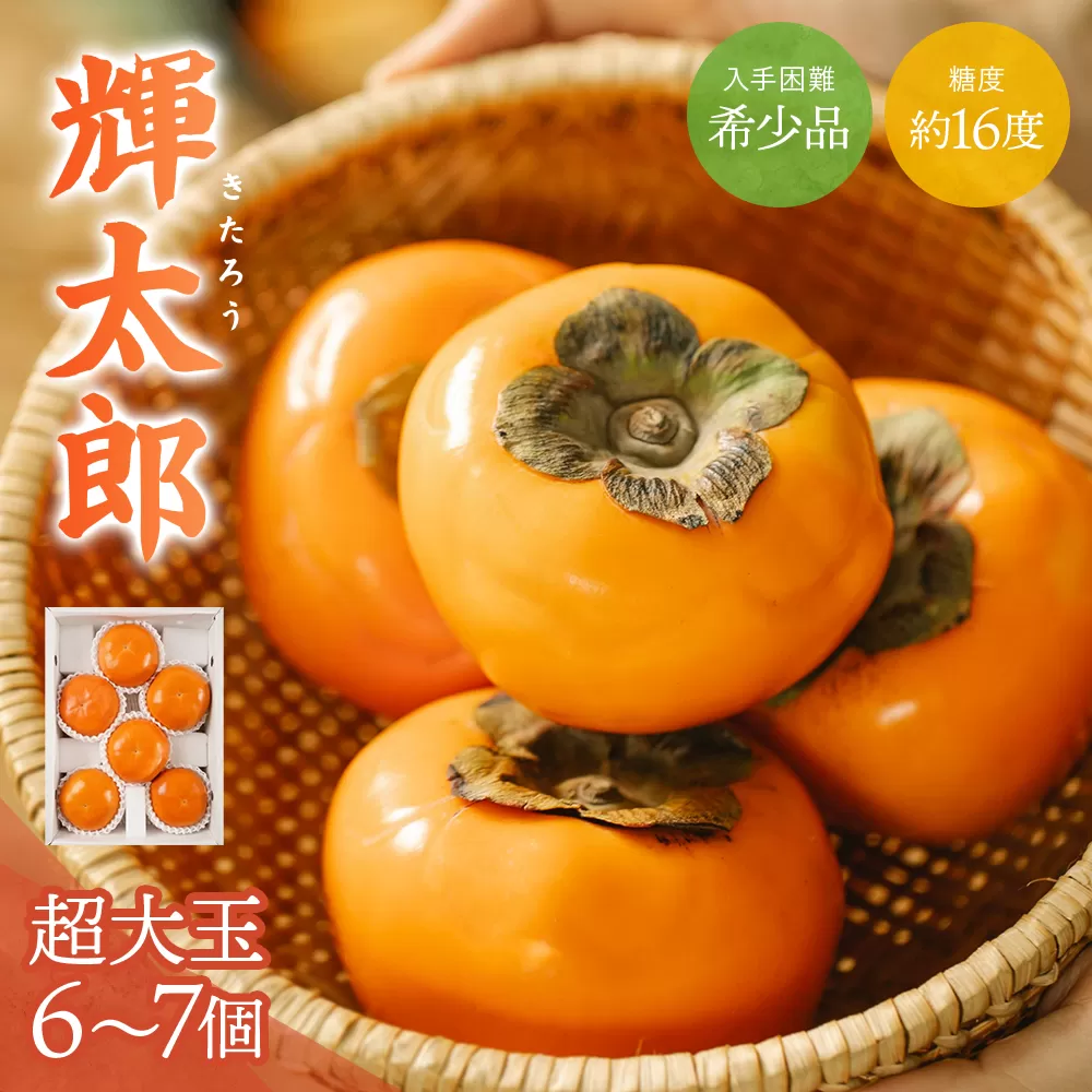 希少な柿【輝太郎】大玉6個～7個 コクのある甘さ！こだわり農家厳選【2025年10月初旬頃から10月下旬頃順次発送】 / 柿 かき 果物 フルーツ 輝太郎 デザート おやつ 和菓子 菓子 お菓子 和歌山産 和歌山県産【kgr018】 