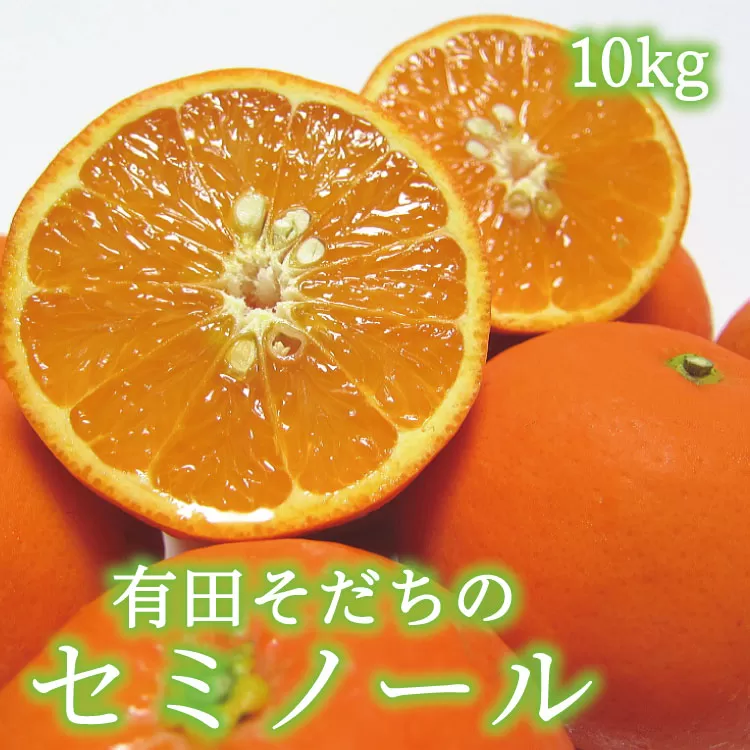 【2024年4月より順次発送】有田育ちの爽快セミノールオレンジ(ご家庭用)　約10kg