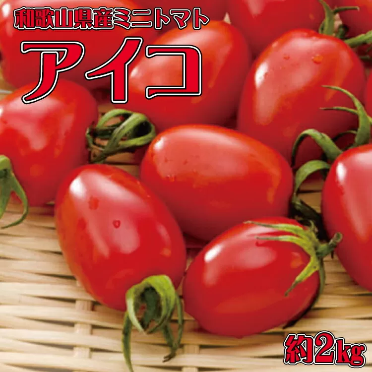 [6月出荷分]和歌山産ミニトマト「アイコトマト」約2kg(S・Mサイズおまかせ)