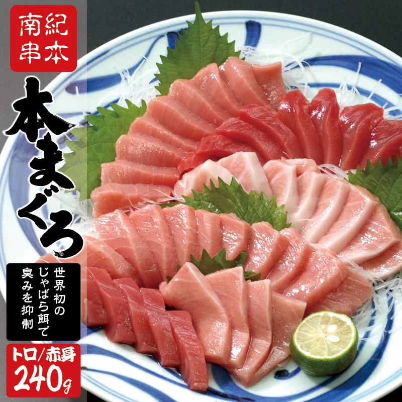 本マグロ トロ＆赤身セット240g（養殖） 【2週間以内に発送】 濃厚な赤身と高級部位トロの鮪好きにはたまらないセット【串本町×北山村】 高級 クロマグロ