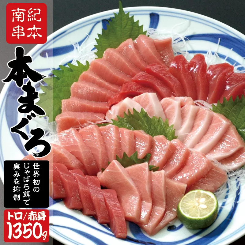 本マグロ トロ＆赤身セット1350g（養殖）【8月発送】濃厚な赤身と高級部位トロの鮪好きにはたまらないセット 【串本町×北山村】 高級 クロマグロ【nks111-8】 