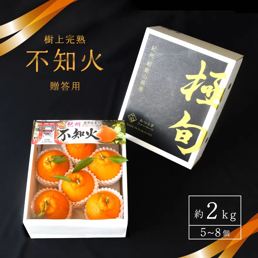 【先行予約】【数量わずか】樹上完熟しらぬい(不知火) 5個~8個 秀品 2025年1月下旬~2025年2月下旬頃に順次発送予定(お届け日指定不可)/ 和歌山 みかん しらぬい 不知火 フルーツ 柑橘 蜜柑 果物 くだもの【kgr014】