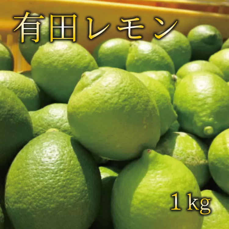 【国産】紀州和歌山　有田レモン 約1kg