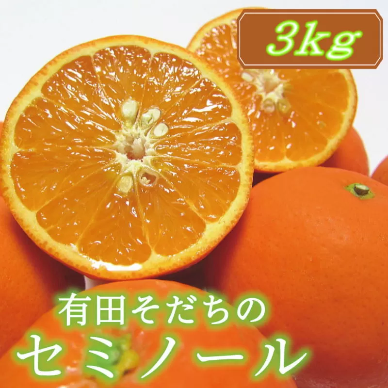 【2024年4月より順次発送】有田育ちの爽快セミノールオレンジ(ご家庭用)　約3kg