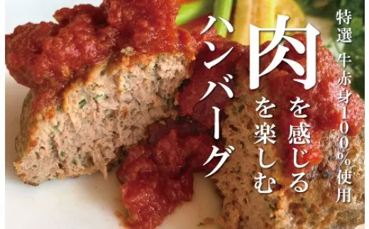 肉を感じる！肉を楽しむ！ トルコのハンバーグ キョフテ ×5個セット （トルコ料理のお店タイヨウのカフェ）