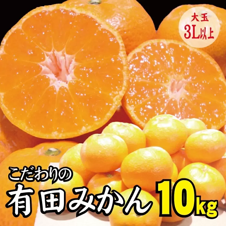 [農家直送]有田みかん 約10kg 大玉3L以上 有機質肥料100% ※2025年12月初旬〜1月中旬に順次発送(お届け日指定不可)