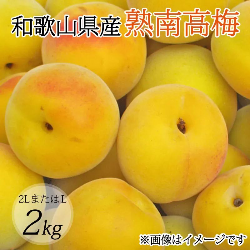 【梅干・梅酒用】（2LまたはL−2Kg）熟南高梅＜2026年6月上旬～7月上旬ごろに順次発送予定＞