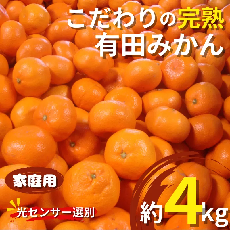 【2025年12月発送予約】 ご家庭用 こだわりの有田みかん 約4kg＋250g(傷み補償分) 光センサー選別 農家直送 / みかん ミカン 有田みかん 温州みかん 柑橘 フルーツ 果物 くだもの 旬 人気 みかん先行予約 家庭用 和歌山【nuk148-12A】