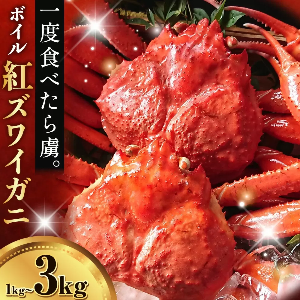 カニ 紅ズワイガニ 3kg(6杯 〜 7 杯) [9月上旬-5月末頃出荷] SOO合同会社 鳥取県 八頭町 送料無料 蟹 かに 姿 鍋 ズワイガニ ズワイ蟹 ボイル ベニズワイ ベニズワイガニ