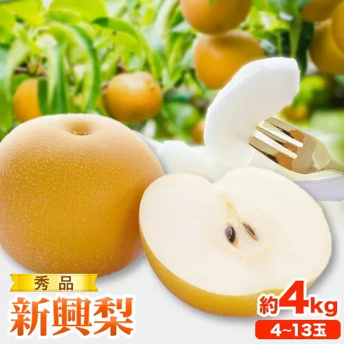 【2026年先行予約】秀品 新興梨 約4kg (4~13玉) 高間商店《2026年10月上旬-12月上旬頃出荷予定》鳥取県 八頭町 梨 なし ナシ 果物 フルーツ 秀品　高間商店　新興梨　ふるさと納税　甘い　果汁　果実　くだもの