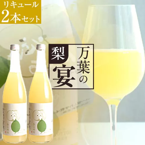 鳥取県産梨リキュール「万葉の宴」2本セット 株式会社北岡本店《90日以内に出荷予定(土日祝除く)》鳥取県 八頭町 リキュール 送料無料