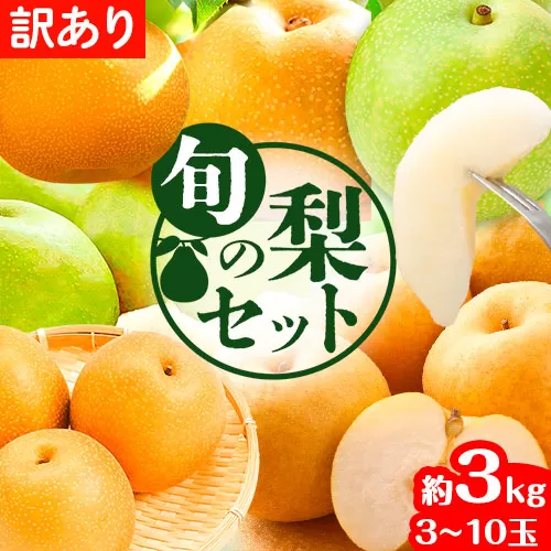 【2026年先行予約】訳あり 鳥取県産 旬の梨セット 約3kg (3~10玉) 高間商店 《2026年8月下旬-12月上旬頃出荷予定》鳥取県 八頭町 梨 なし 果物 フルーツ 幸水 豊水 秋栄梨 秋甘泉 新甘泉 新高梨 あたご梨 王秋梨 先行予約