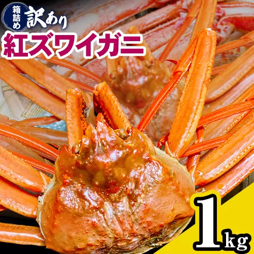 蟹 訳あり 蟹セレブ 紅ズワイガニ 箱詰め 1kg （2〜3杯） giverichホールディングス《10月上旬-5月下旬頃出荷》鳥取県 八頭町 蟹 かに カニ 紅ズワイガニ 紅ズワイ 訳あり 送料無料