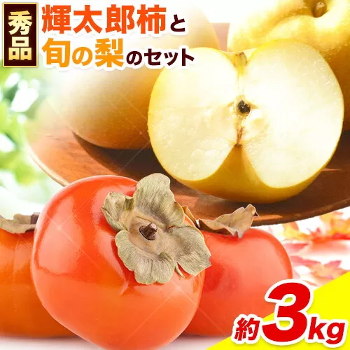 【先行予約】かき 柿 梨 なし 輝太郎柿と旬の梨セット 秀品 約3kg《10月上旬から10月末頃出荷》 鳥取県 八頭町 果物 くだもの フルーツ セット 高間商店 送料無料