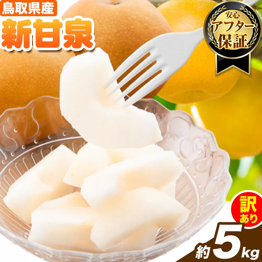 【訳あり】先行予約 新甘泉 約5kg《2026年8月下旬-9月下旬頃出荷》新甘泉 梨 訳あり ご家庭用 鳥取県 八頭町 なし 果物 フルーツ 特産品 送料無料 果汁 デザート 八頭